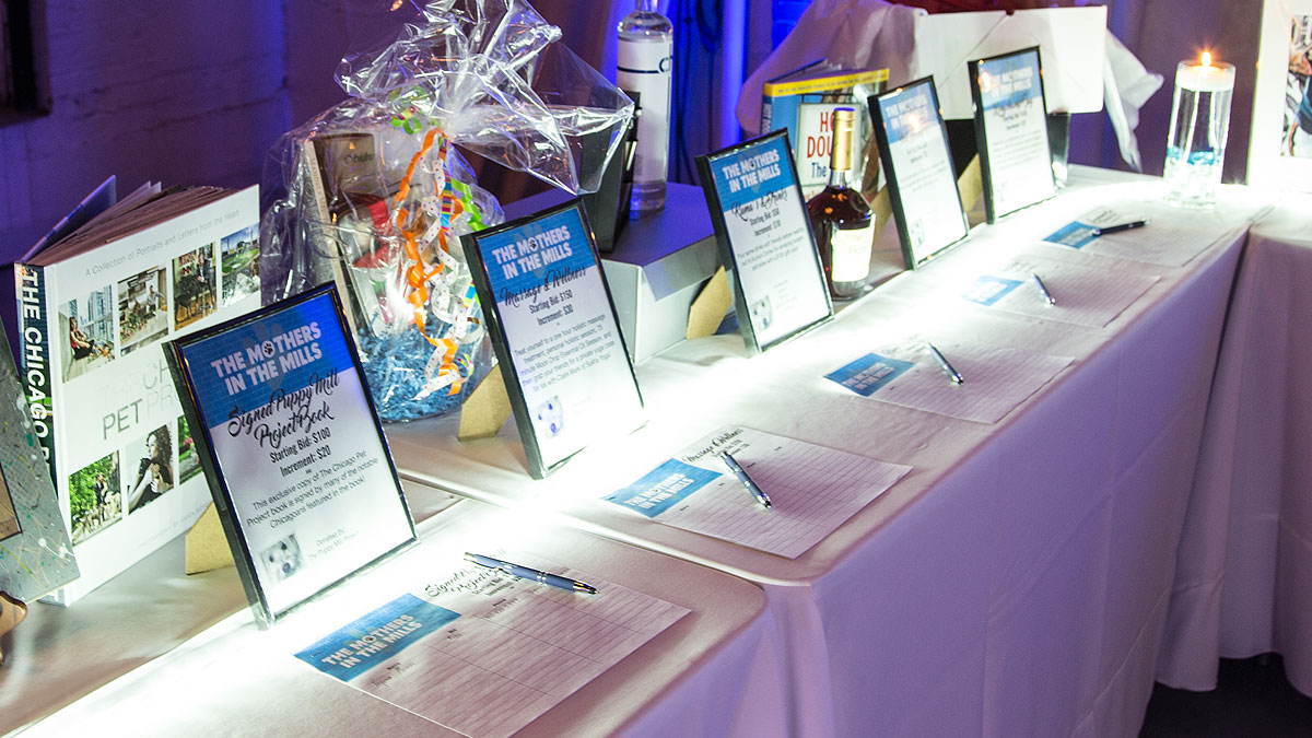 Silent auction at the Puppy mill Project event