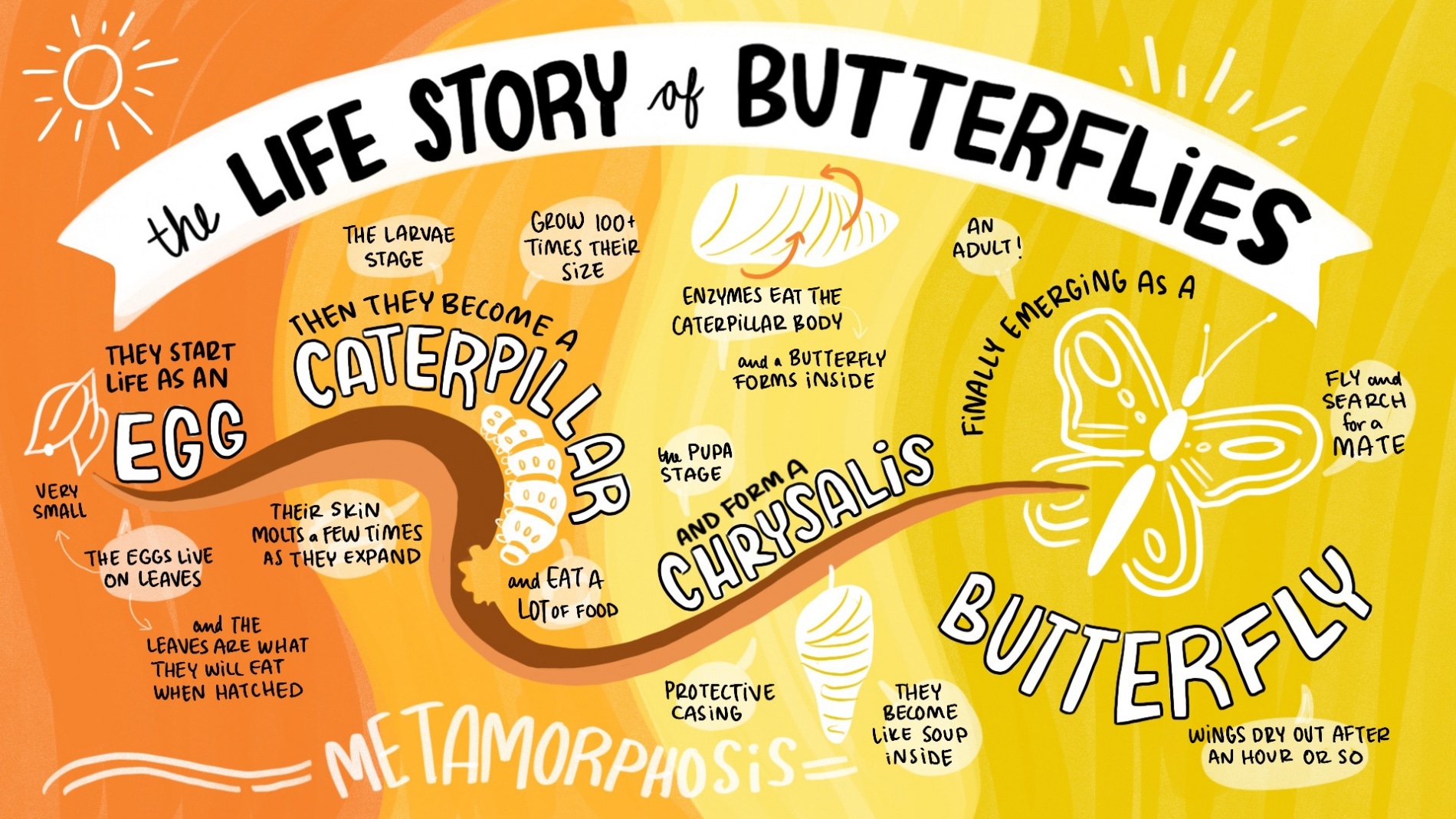 A Visual Storytelling Guide For People Who Can’t Draw