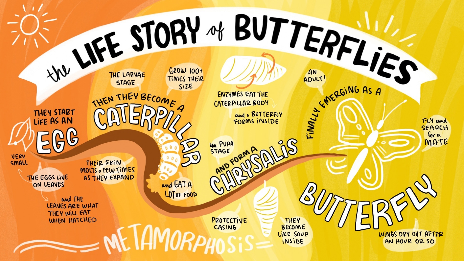 How to tell and DRAW stories with simple visual techniques