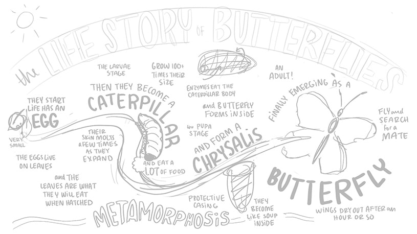 Visual storytelling sketch by This Paper Ship on Dribbble