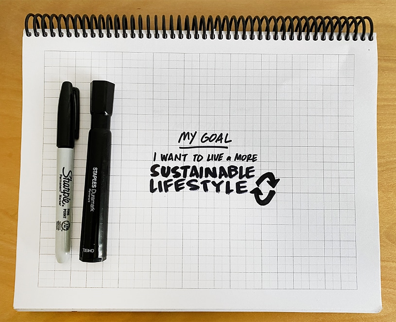 My goal: I wan to live a more sustainable lifestyle